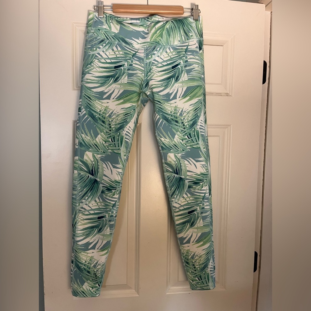 Carve Designs Swim Tights